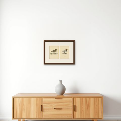 1929 Swedish Duck Lithographs Pair, Pintail & Pochard, shown framed on a wall