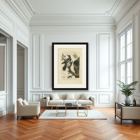Antique Bird Print of the Great Spotted Woodpecker by Sepp & Nozeman, 1770, shown framed in a room
