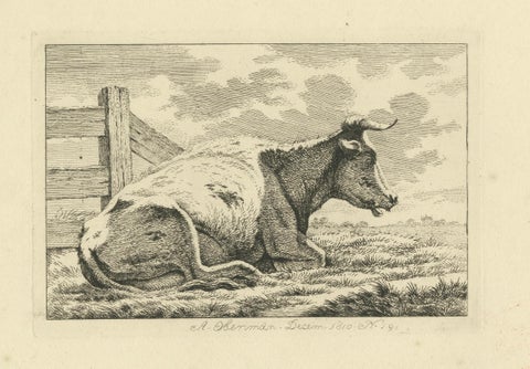 Etching of Resting Cow by Fence: Rural Scene by Anthony Oberman, 1810, close-up 4