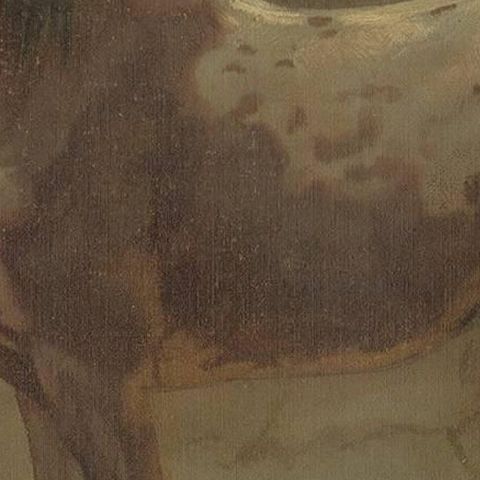Antique Print of the Pinzgauer Horse by O. Eerelman, 1898, close-up 2