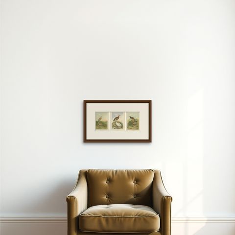 Antique Chromolithographs of Quail, Grouse & Partridge, 19th Century Bird Print, shown framed on a wall