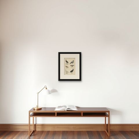 Bird Prints of Mankirio, the Curassow, a Partridge, a Turkey & Sheathbill, c1860, shown framed on a wall