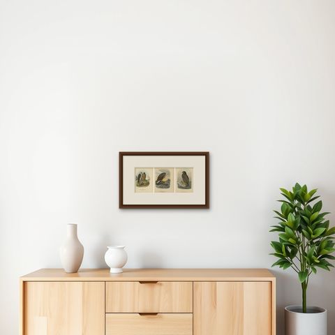 Eagles Prints, Antique Set of Three, Raptors & Ornithology Wall Art, 1894, shown framed on a wall