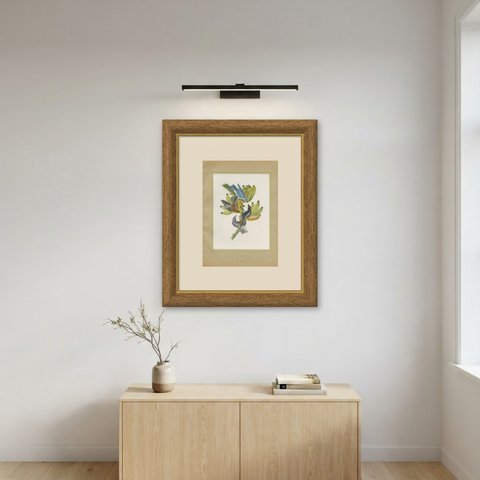 Tanagers on a Banana Plant, Brazilian Bird Print, Descourtilz, 1944, shown framed on a wall