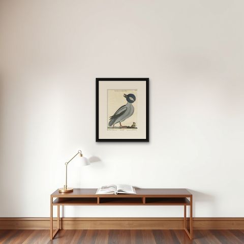 Hand-Colored Engraving of the Little Duck with a Purple Head by Seligmann, c1770, shown framed on a wall