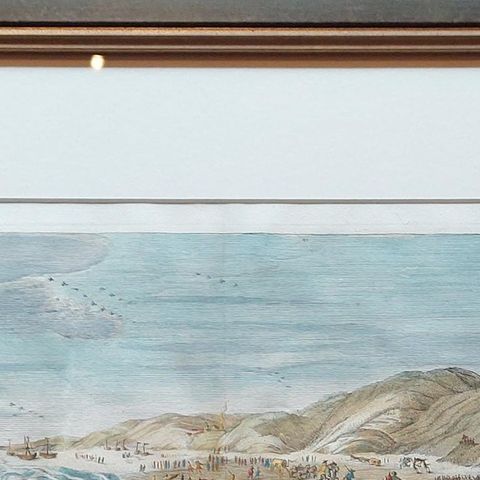 Antique Print of a Beached Whale by Van der Gouwen 'c.1680', close-up 1