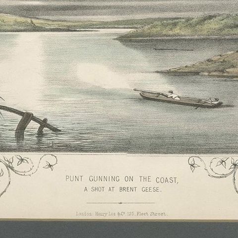 Antique Hunting Print of a shot at Brent Geese, circa 1863, close-up 2