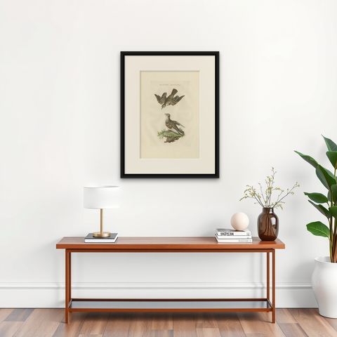 Eurasian Skylark, Antique Bird Engraving by Nozeman and Sepp, 1809, shown framed on a wall