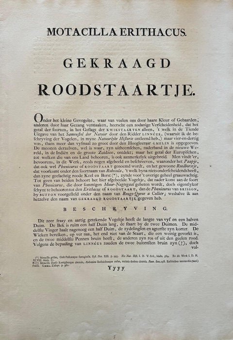 Motacilla Erithacus, Antique Common Redstart Print by Nozeman & Sepp, 1809, view 9
