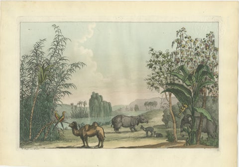 Chinese Landscape with Camel, Rhinoceros and Elephant, Antique Print, 1815, view 2