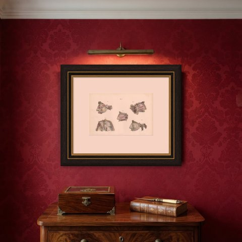 Nerves of the Nose, Palate and Upper Jaw, Antique Hirschfeld Anatomy Print, 1866, shown framed on a wall
