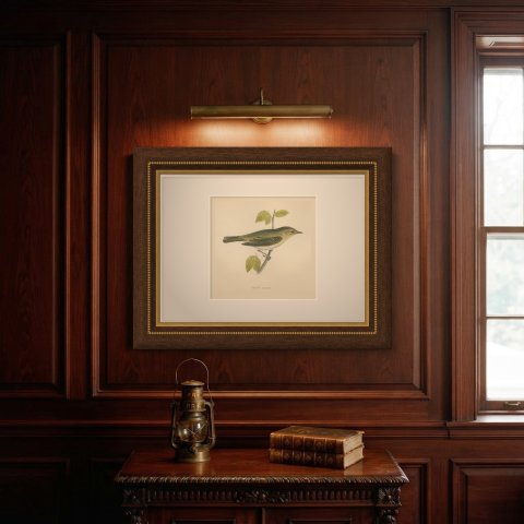 Chiff Chaff on a Leafy Branch, Hand Colored Warbler Print, Morris, 1896, shown framed on a wall