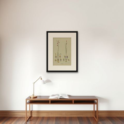 Antique Botany Print of the Salmon Sun Orchid & Fringed Sun Orchid, '1884', shown framed on a wall