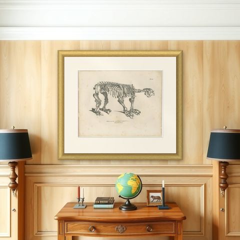 Megatherium Skeleton Lithograph, Giant Ground Sloth, Brodtmann c.1830, shown framed on a wall