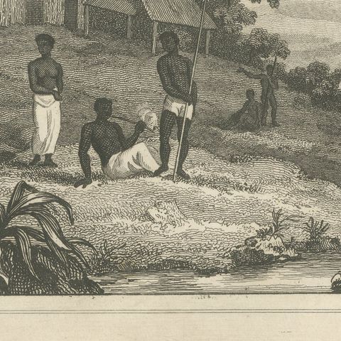 View in Sierra Leone, West Africa, Elephant, Antique Engraving, circa 1825, close-up 5