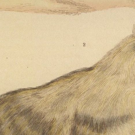 Contrasts in Mammalia: The Brown-Tailed Mongoose and the Brown Hyena, 1845, close-up 5