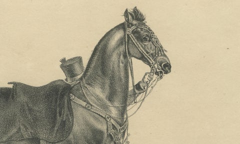Antique Arabian Horse Lithograph “Aleppo” by August Jäger, 1846, close-up 2