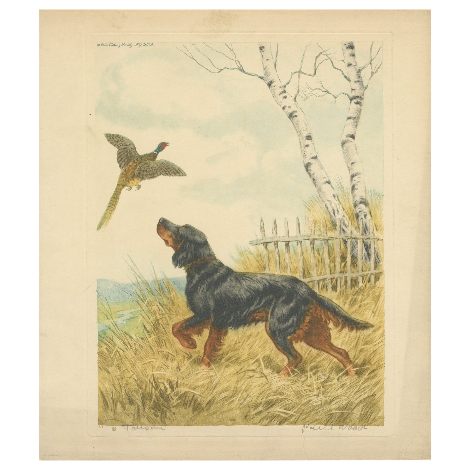 Vintage Lithograph “Setter and Pheasant” by Paul Wood, New York, 1930s