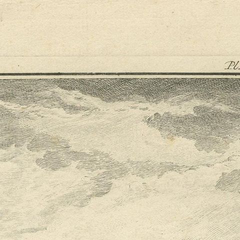 Antique Print of a Sheepdog by De Seve, c.1780, close-up 1