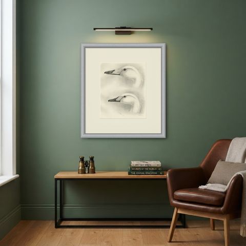 Heads of the Wild Swans, Antique Bird Print after Lilian Medland, circa 1909, shown framed on a wall