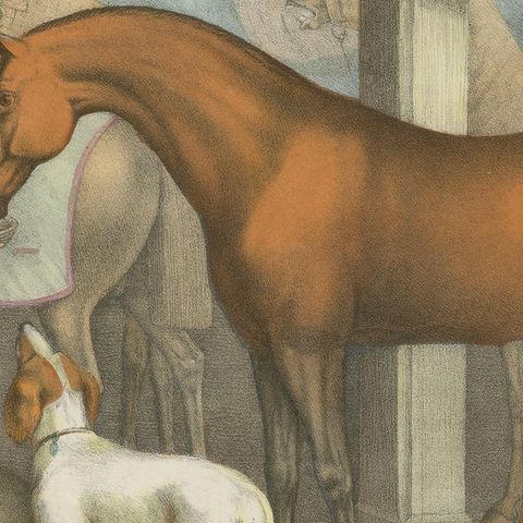 Antique Horse Stable Lithograph - The Young Master’s Favorites, c.1827, close-up 6