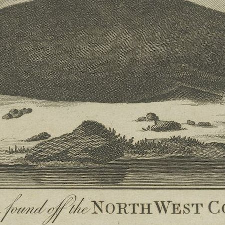 Antique Print of a Sea Otter, an Opossum, and a White Bear, c.1784, close-up 2