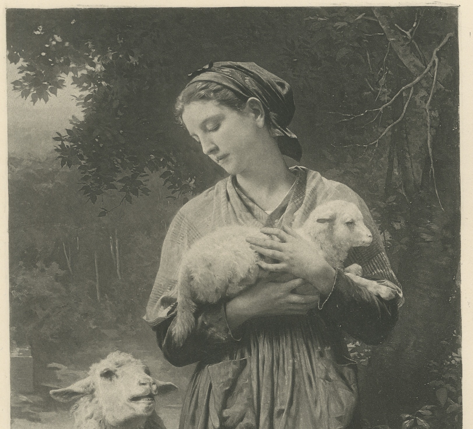 The Newborn Lamb after William Bouguereau, Antique Photogravure, circa 1880, view 3