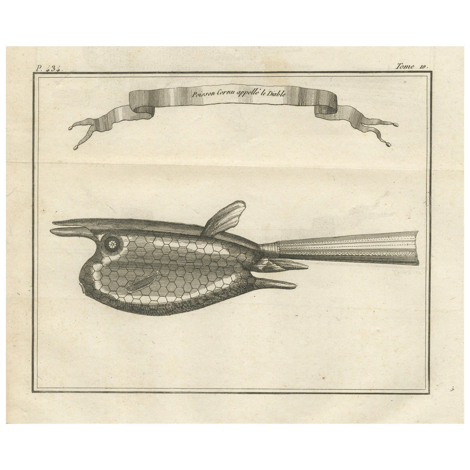 Poisson Cornu dit “Le Diable”, Antique French Engraving of a Horned Fish, 1790