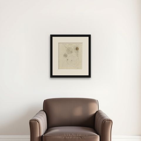 Spider Webs with Hatching Spiderlings, Antique Bertuch Print, circa 1805, shown framed on a wall