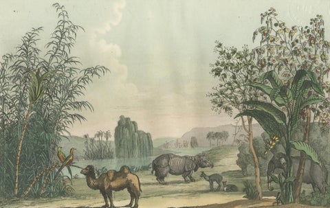 Chinese Landscape with Camel, Rhinoceros and Elephant, Antique Print, 1815, close-up 1
