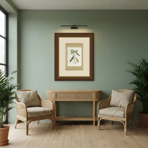 Tanagers and Honeycreepers, Brazilian Bird Print, Descourtilz, 1944, shown framed in a room