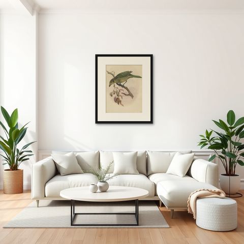 Antique Bird Print of the Black-Cheek Cat Bird by Elliot, c.1873, shown framed in a room