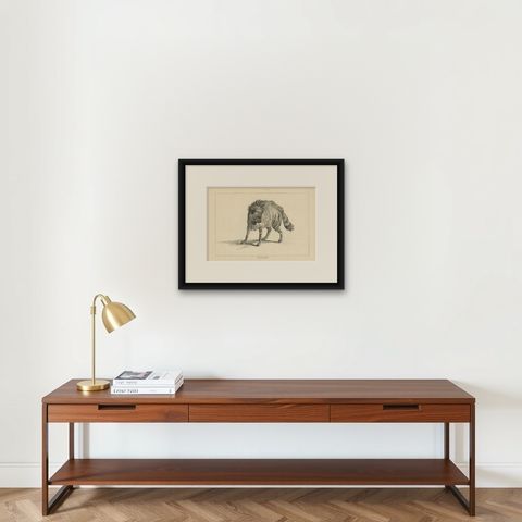 The Majestic Eurasian Lynx: A Detailed Etching - circa 1740, shown framed on a wall