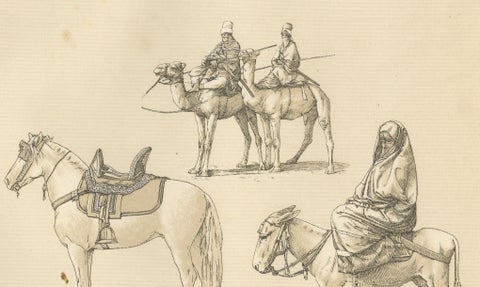 African Transport & Camel Litter, Racinet Afrique Plate, 1888, close-up 4