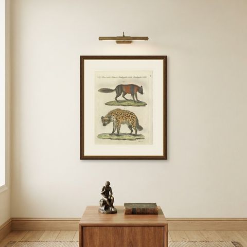 Cross Fox and Spotted Hyena, Antique Bertuch Print, Vienna, circa 1812, shown framed on a wall