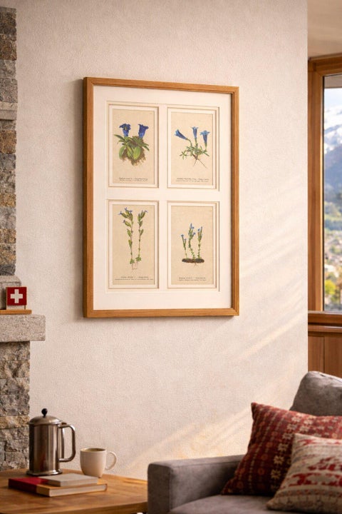 Alpine Gentian Botanical Prints Set, Antique Chromolithographs c.1897, view 3