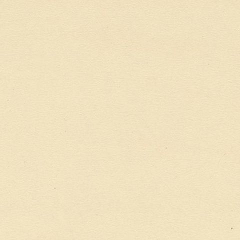 Antique Bird Print of the Bluethroat by Von Wright, 1927, close-up 1