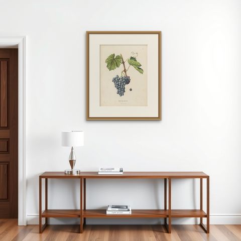 Rare Original Antique Lithograph of the Grenache Alicante Grape Variety, 1890, shown framed on a wall