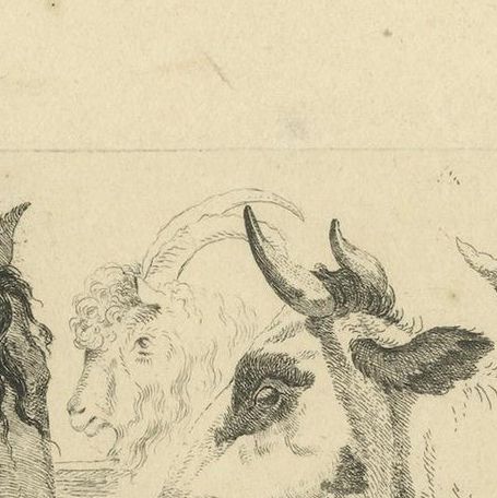 Detailed Etching of Horse, Cow, Goat, and Sheep Heads by Oberman, 1809, close-up 5