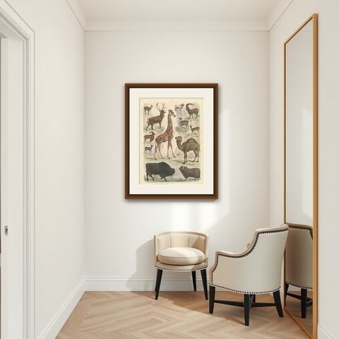 Ungulates Print: Giraffe, Camel, Bison & Antelope, Antique 1867, shown framed in a room