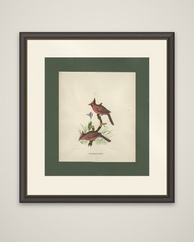 Antique Bird Print of Northern Cardinals Made After D.G. Elliot, 1869, shown framed