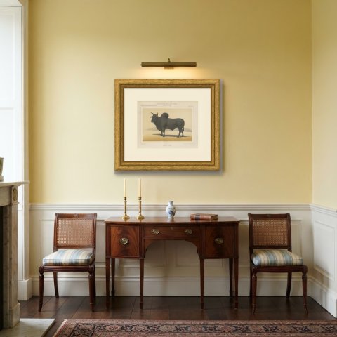 Zebu Bull, Humped Cattle Chromolithograph by Olivier de Penne, 1863, shown framed in a room