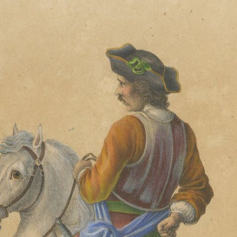 Antique Andalusian Horse Lithograph by Brodtmann, Equus Hispanicus, 1816, close-up 6