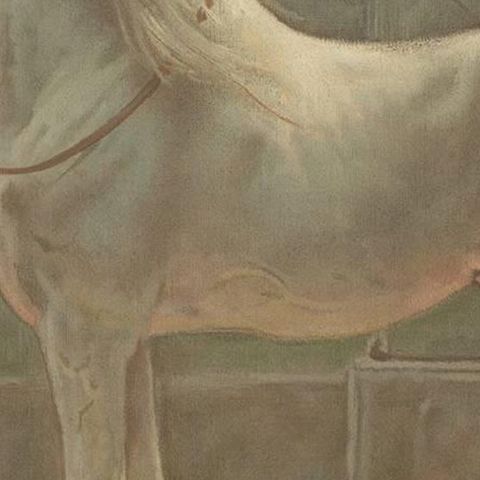 Antique Print of a Persian Horse by O. Eerelman, 1898, close-up 2