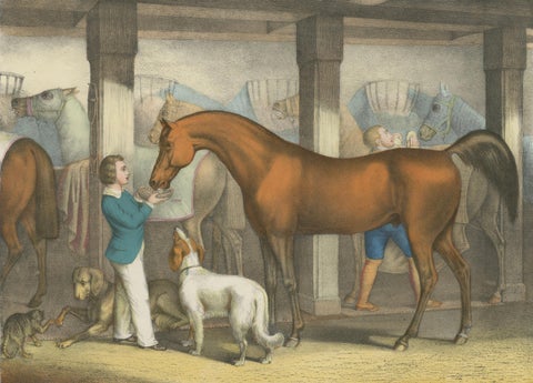Antique Horse Stable Lithograph - The Young Master’s Favorites, c.1827, close-up 1
