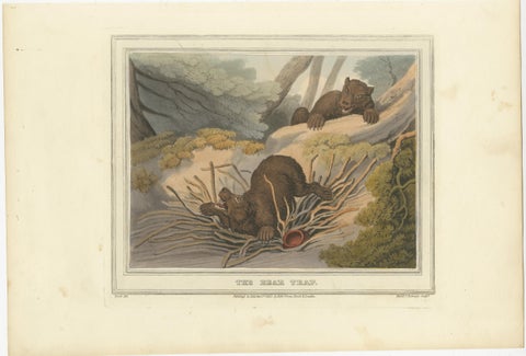 Foreign Field Sports: The Bear Triap Aquatint by Dubourg, Merke & Howitt, 1813, view 2