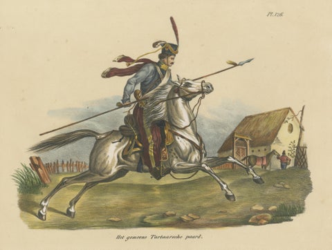 Antique Hand Colored Print of a Tartar Horse, view 3