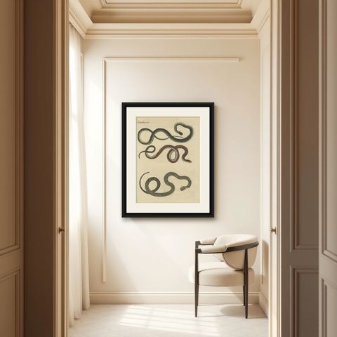 Antique Print of Various Snakes, 'c.1800', shown framed in a room