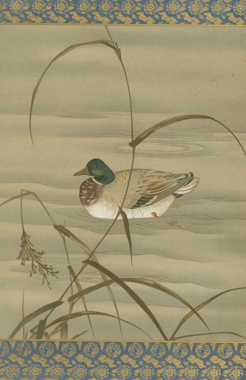 Antique Japanese Waterfowl Print: Tranquil Duck in Reeds, 19th Century, close-up 4