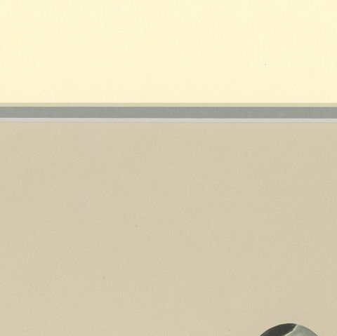 Antique Bird Print of the White Wagtail by Von Wright '1927', close-up 1